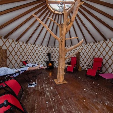 Versant Mont-Sainte-Anne المظهر الخارجي الصورة