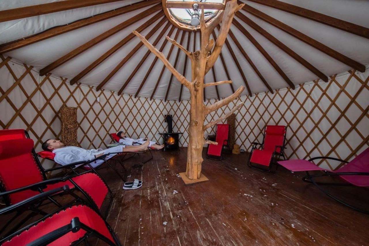 Versant Mont-Sainte-Anne المظهر الخارجي الصورة
